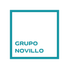 Grupo Novillo