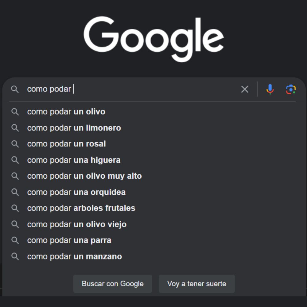 El autocompletar de Google es muy efectivo para encontrar palabras clave